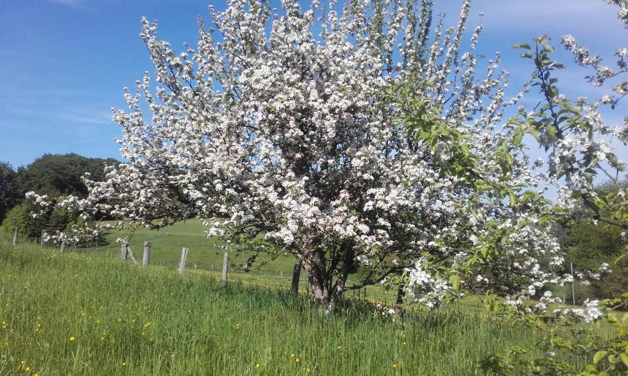 Gite Les Hirondelles Plombières-les-Bains Kültér fotó