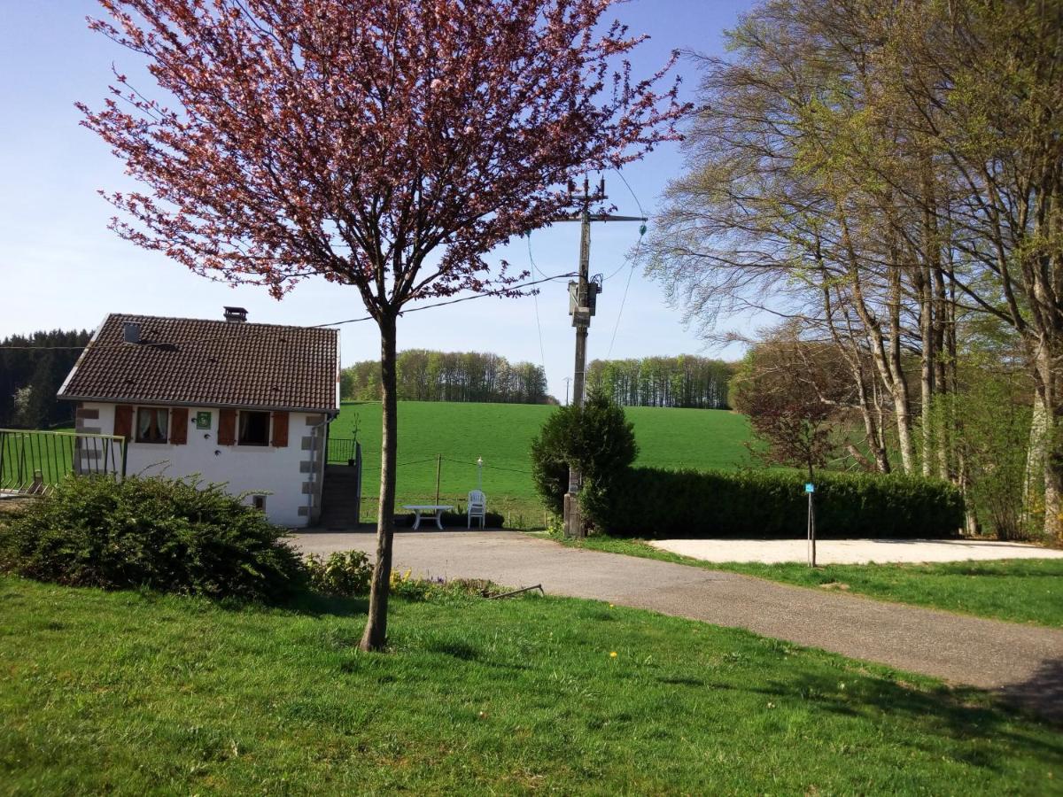 Gite Les Hirondelles Plombières-les-Bains Kültér fotó