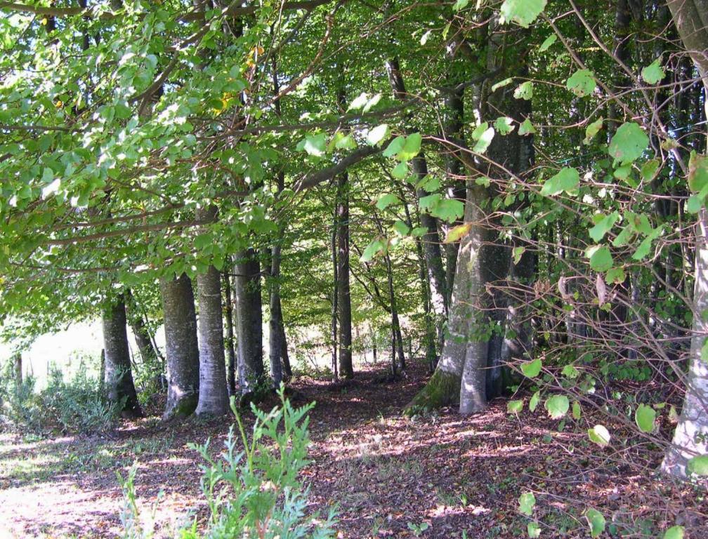 Gite Les Hirondelles Plombières-les-Bains Kültér fotó