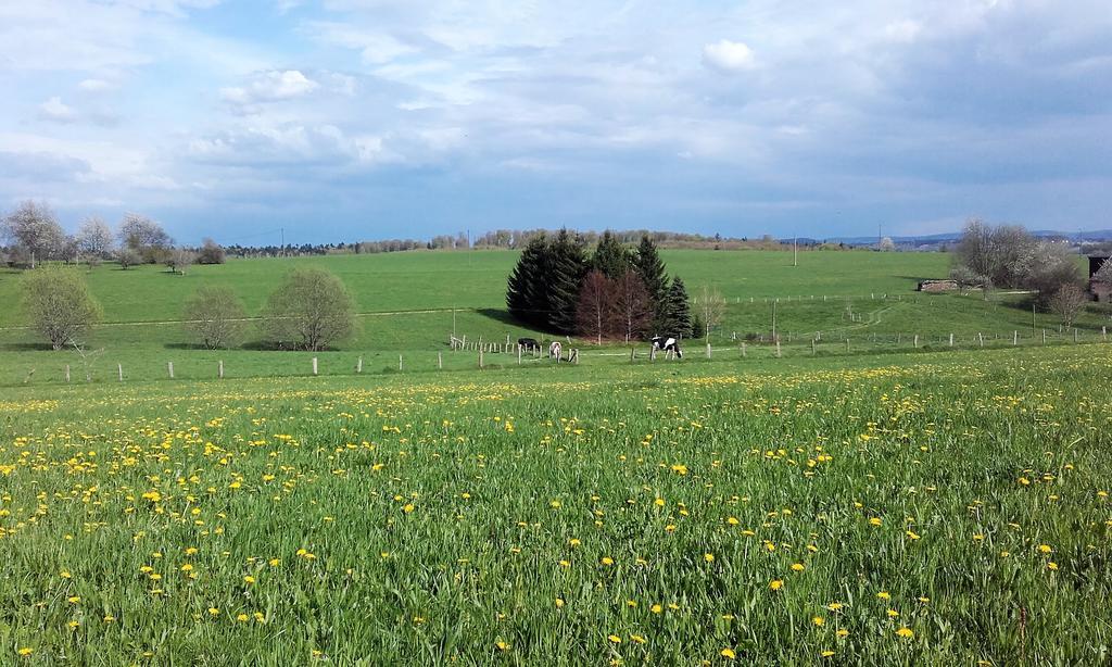 Gite Les Hirondelles Plombières-les-Bains Kültér fotó