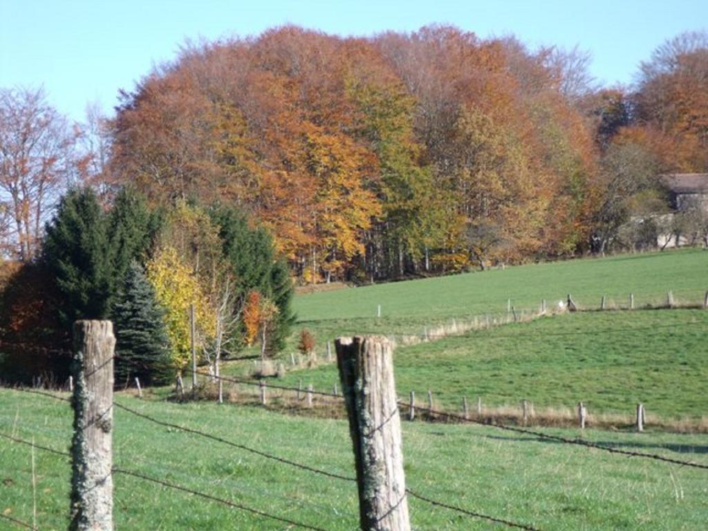 Gite Les Hirondelles Plombières-les-Bains Kültér fotó
