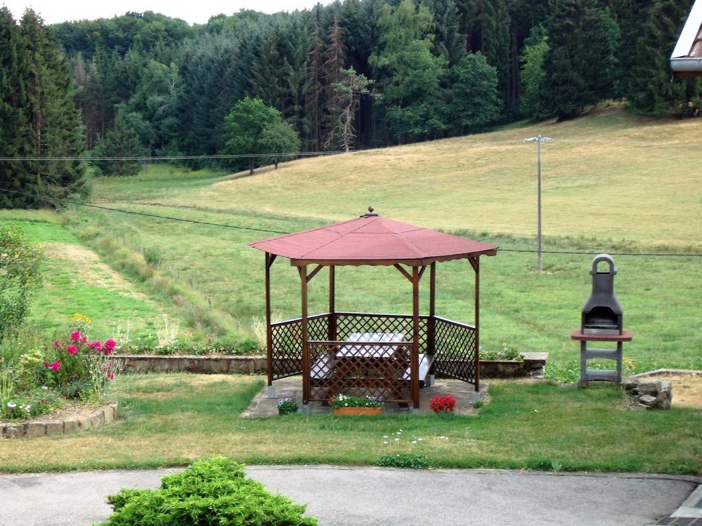 Gite Les Hirondelles Plombières-les-Bains Kültér fotó