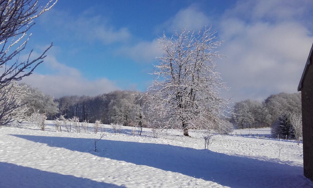 Gite Les Hirondelles Plombières-les-Bains Kültér fotó