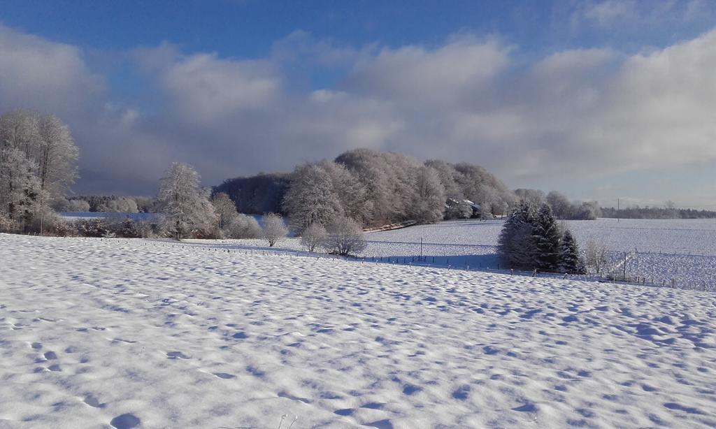 Gite Les Hirondelles Plombières-les-Bains Kültér fotó